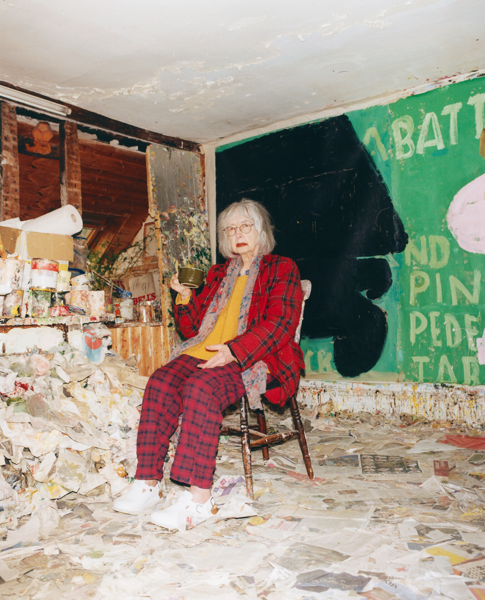 14 Rose Wylie Portrait