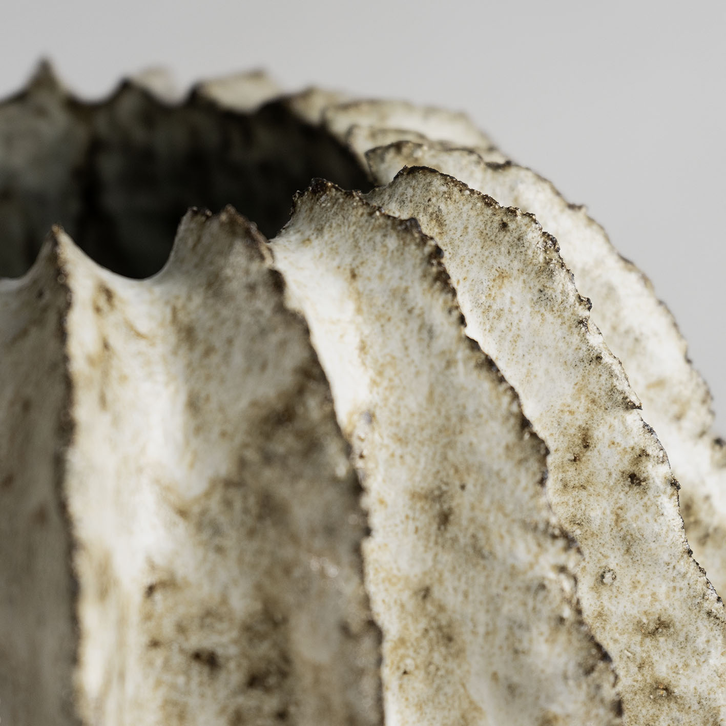Jojo Corvaia, V 1413 Kuwabata Series. Courtesy Of L’appartement And Objects With Narratives. ©jojo Corvaia